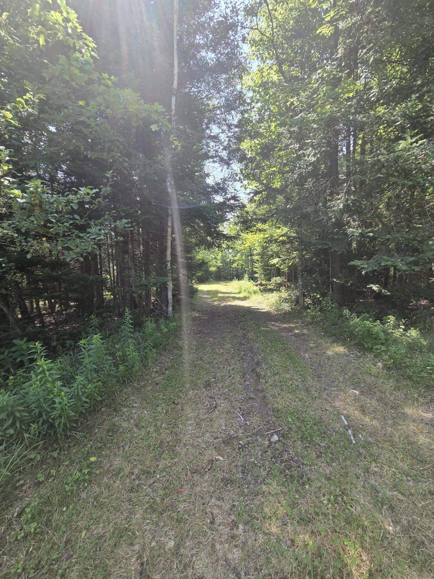 1623 Silver Lake Road Au Sable Forks, NY 12912 - Photo 11 of 18 20250716_112224