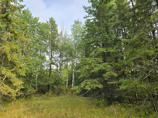 $259,000 | 3696 County Road 142, International Falls, MN 56649