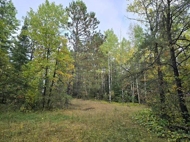$259,000 | 3696 County Road 142, International Falls, MN 56649