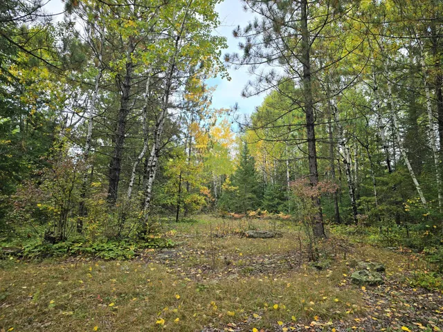 $259,000 | 3696 County Road 142, International Falls, MN 56649