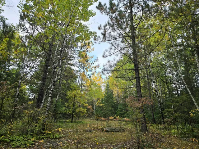 $259,000 | 3696 County Road 142, International Falls, MN 56649