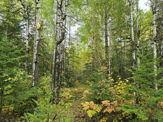 $259,000 | 3696 County Road 142, International Falls, MN 56649