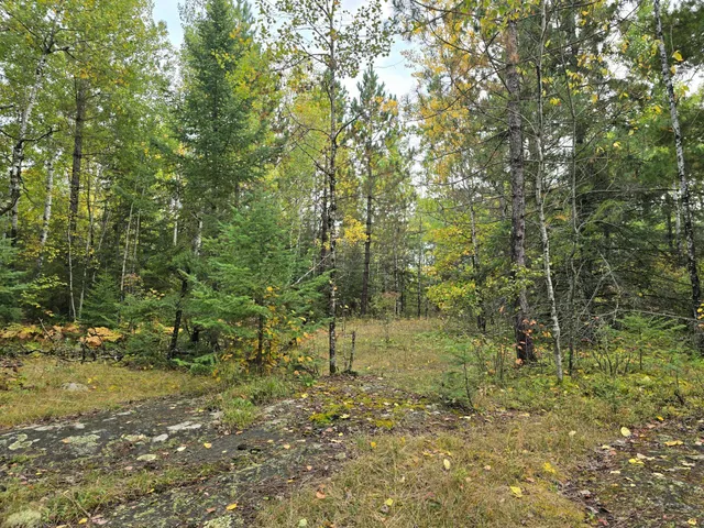 $259,000 | 3696 County Road 142, International Falls, MN 56649