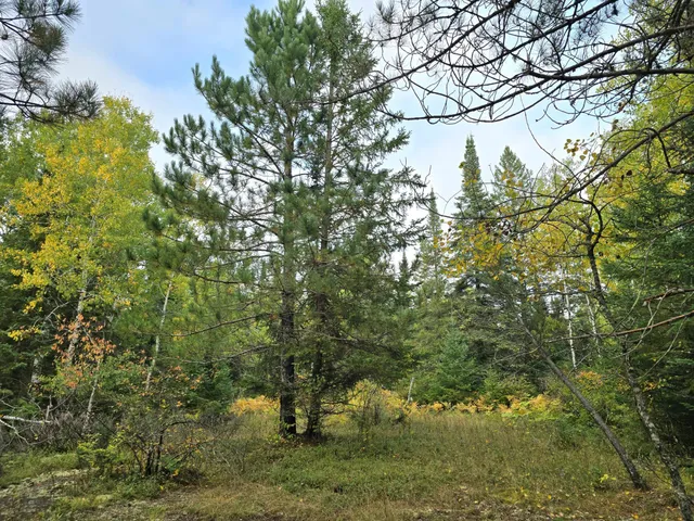 $259,000 | 3696 County Road 142, International Falls, MN 56649