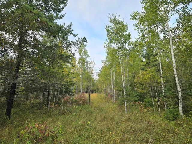 $259,000 | 3696 County Road 142, International Falls, MN 56649