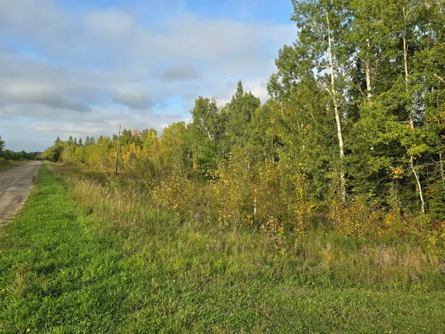 $259,000 | 3696 County Road 142, International Falls, MN 56649