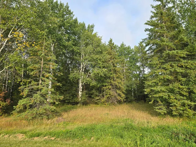 $259,000 | 3696 County Road 142, International Falls, MN 56649