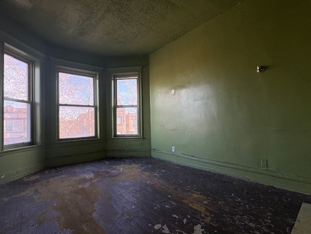 1220 South Springfield Avenue Chicago, IL 60623 - Photo 2 of 20