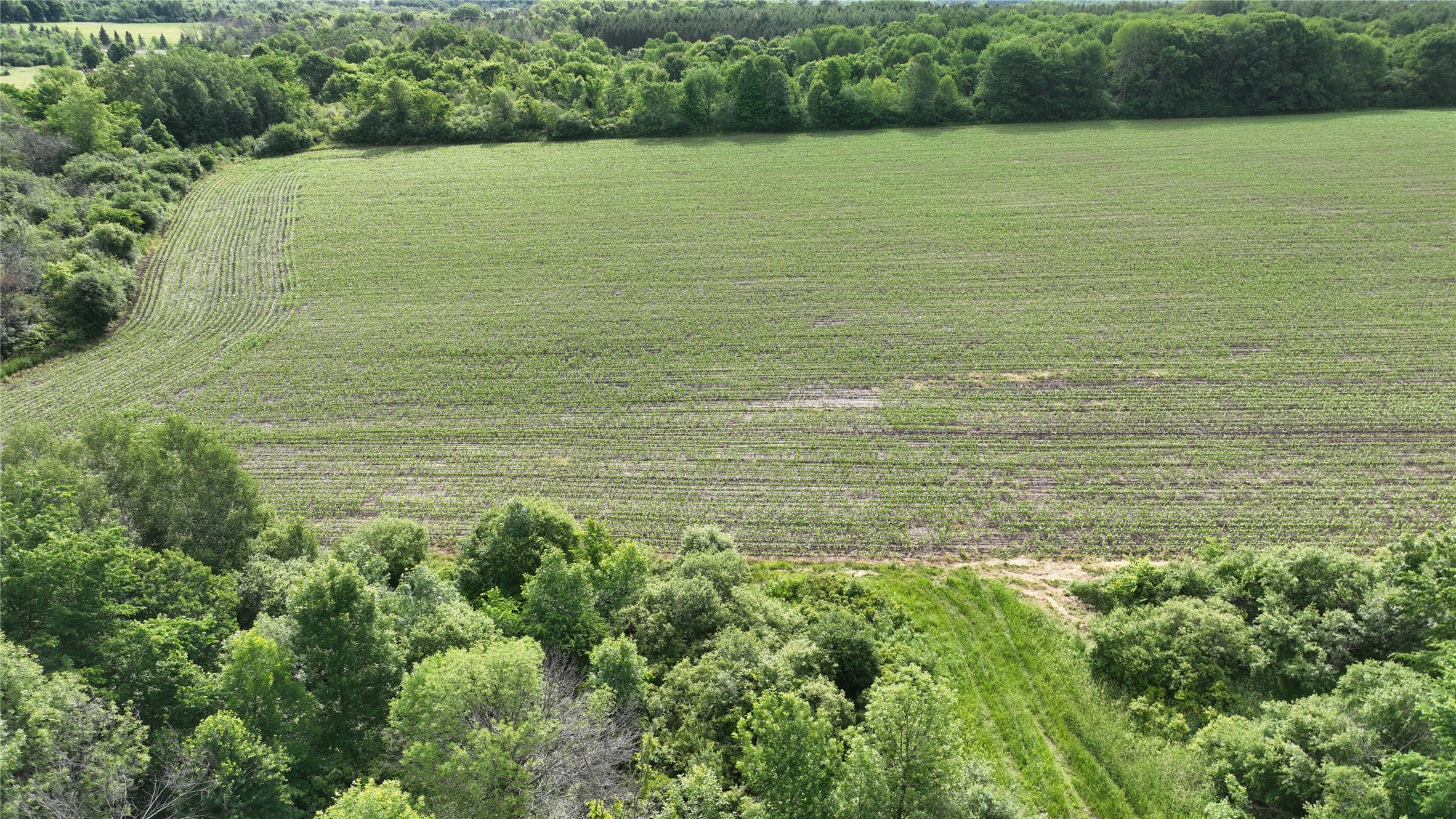 Xx Pierce County Road BB Baldwin, WI 54002 - Photo 28 of 35