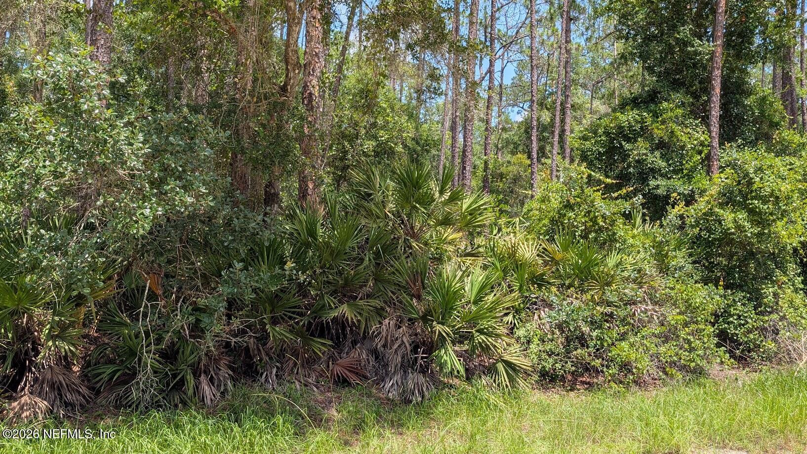 301 Whispering Pines Road Georgetown, FL 32139 - Photo 4 of 12 4
