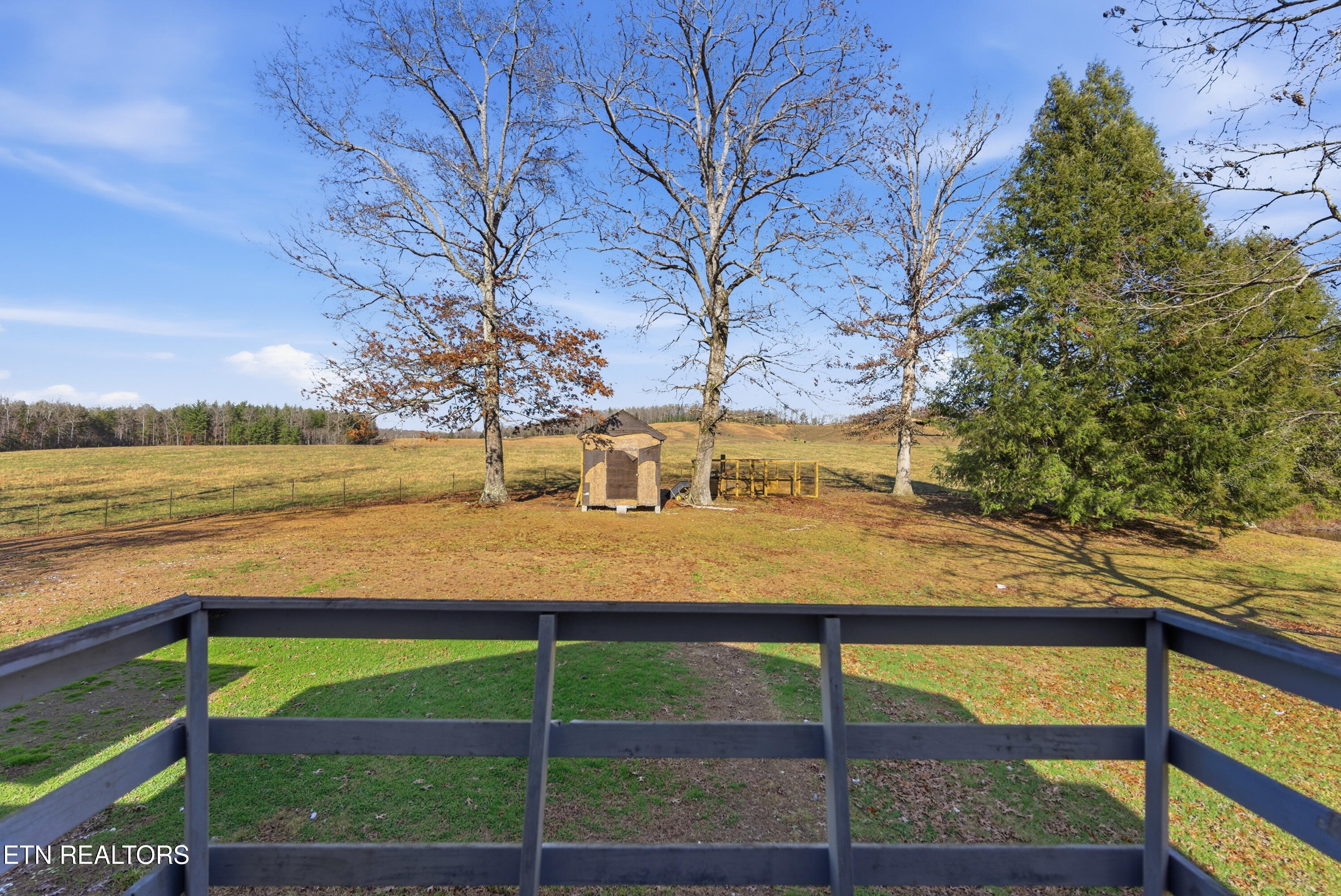 444 Island Ford Road Lancing, TN 37770 - Photo 37 of 50 124_DSC02114