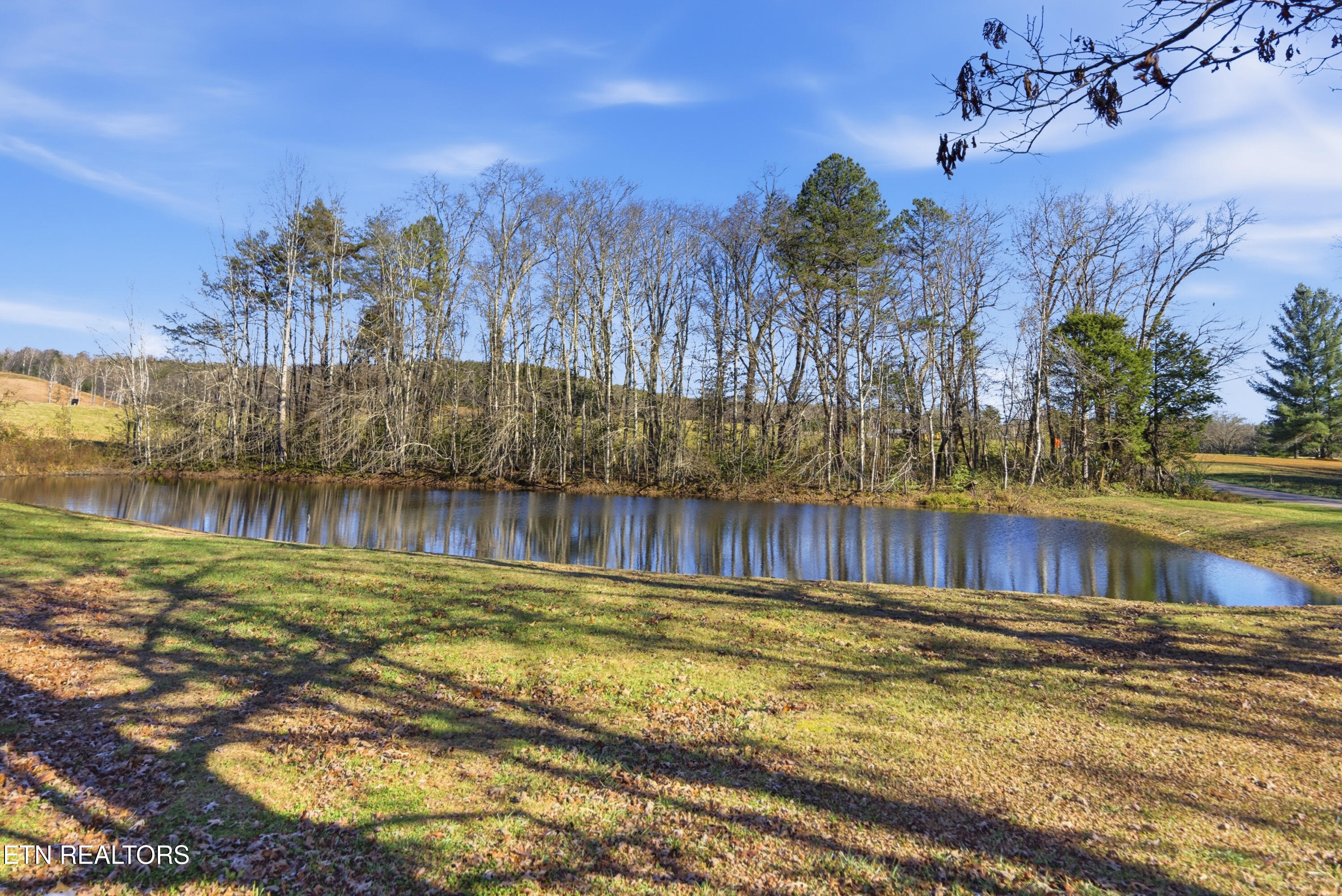 444 Island Ford Road Lancing, TN 37770 - Photo 45 of 50 105_DSC01829