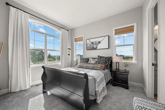 $1,899,990 | 9141 Red Primrose Street, Franktown, CO 80116