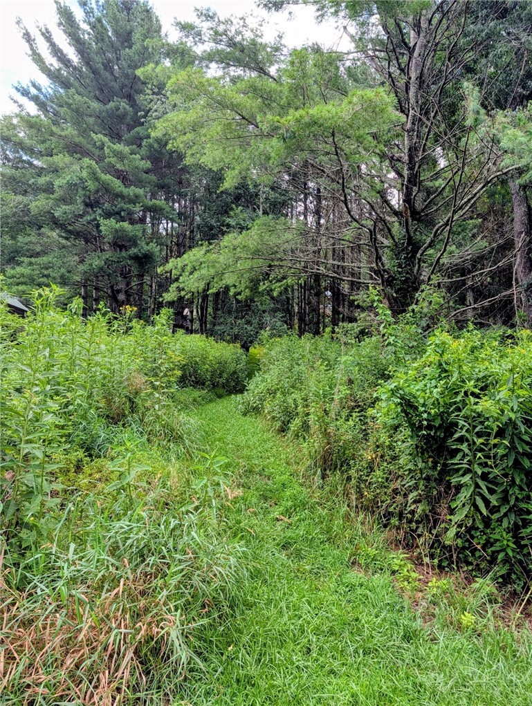 Stuart Williams Road Boone, NC 28607 - Photo 14 of 20