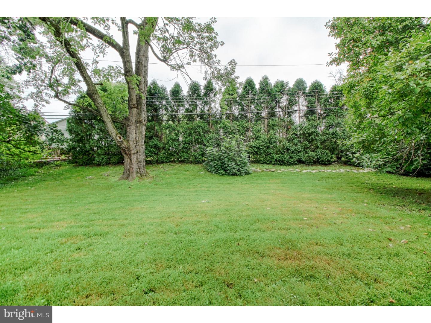 3894 Blake Road Huntingdon Valley, PA 19006 - Photo 20 of 21 Back Yard