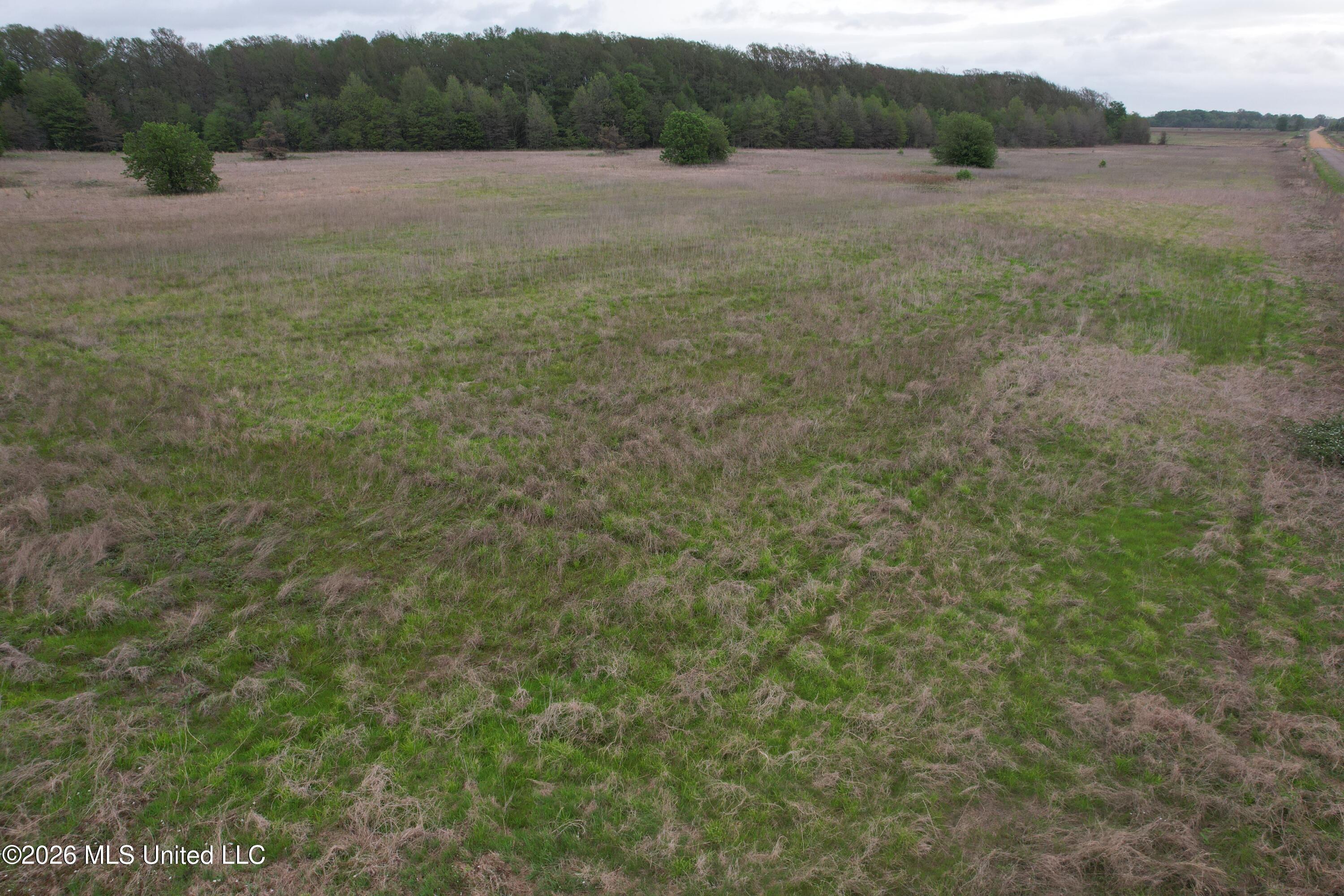 Shaw Road Sledge, MS 38670 - Photo 26 of 45 DJI_0251