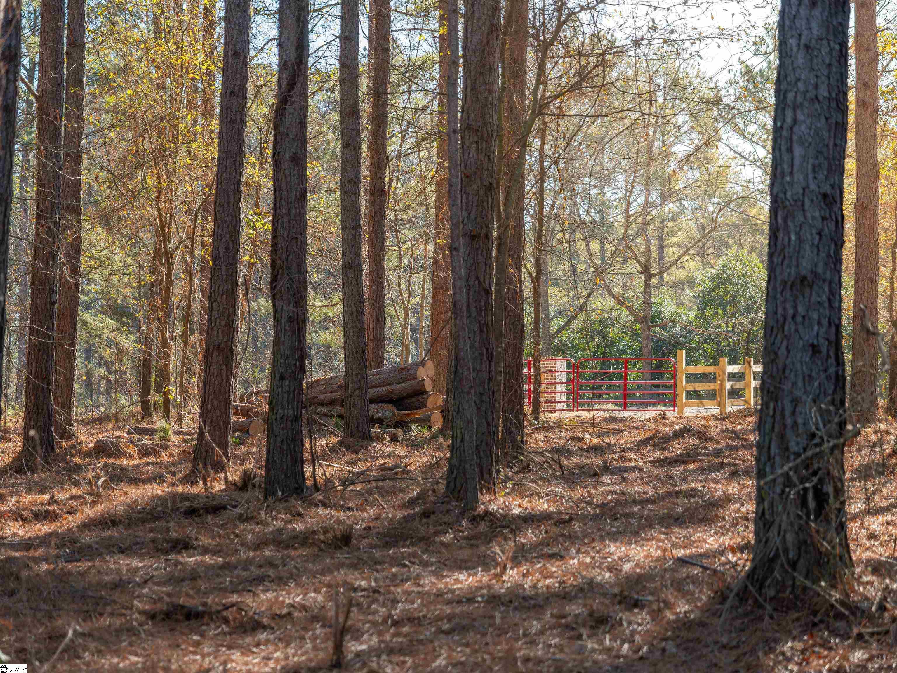 3 Mill Pine Road Liberty, SC 29657 - Photo 13 of 19