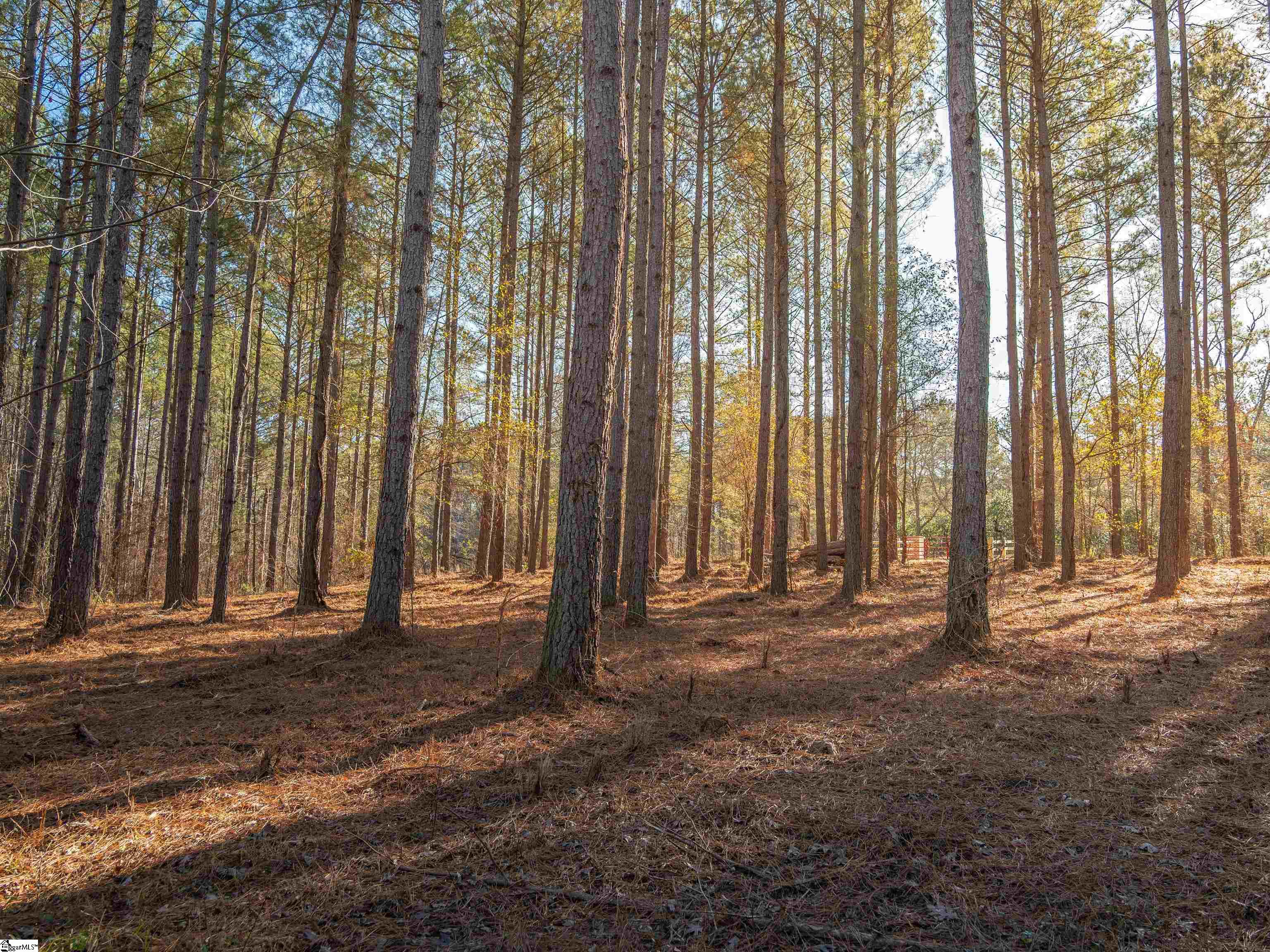 3 Mill Pine Road Liberty, SC 29657 - Photo 15 of 19