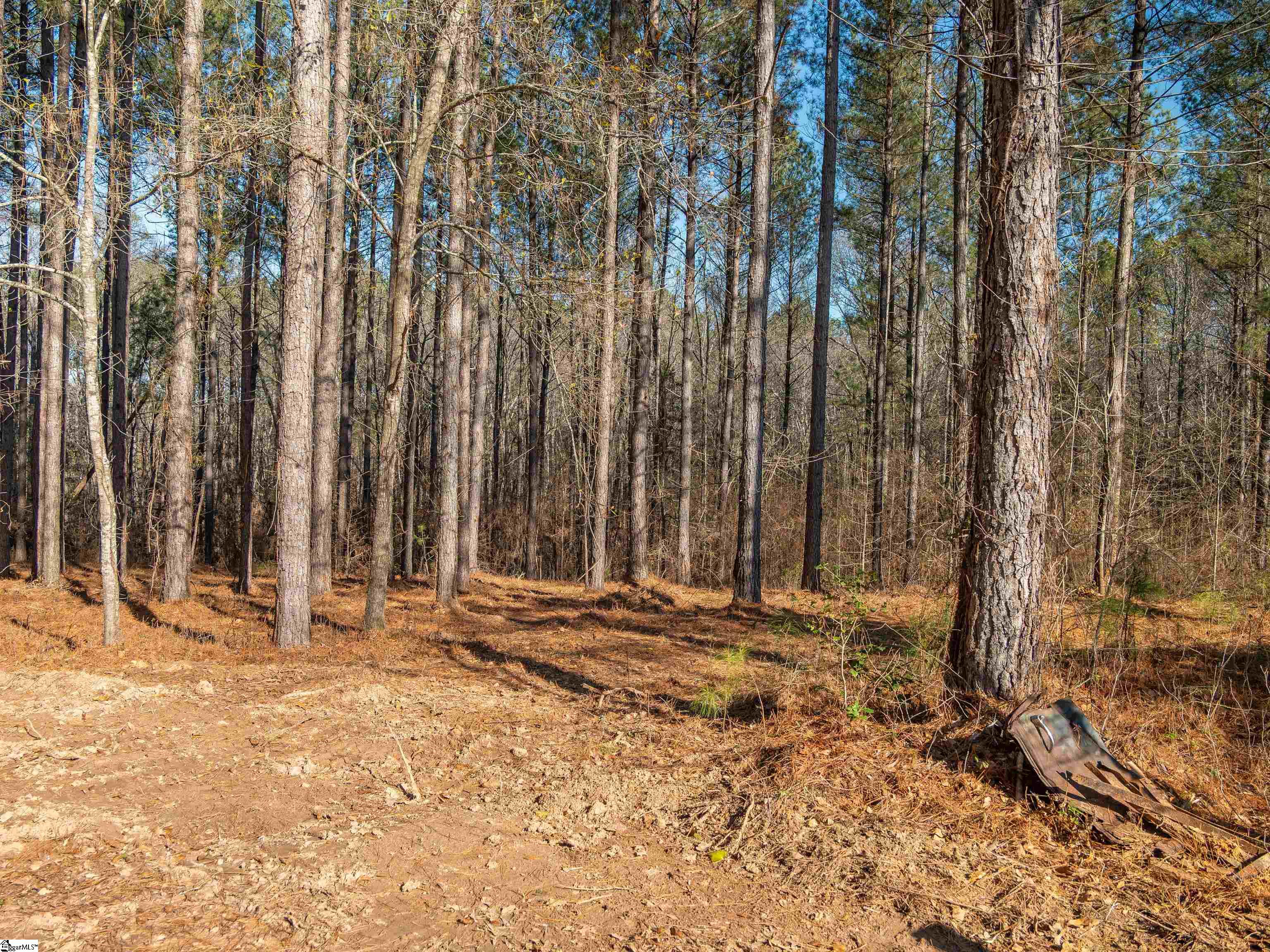 3 Mill Pine Road Liberty, SC 29657 - Photo 16 of 19