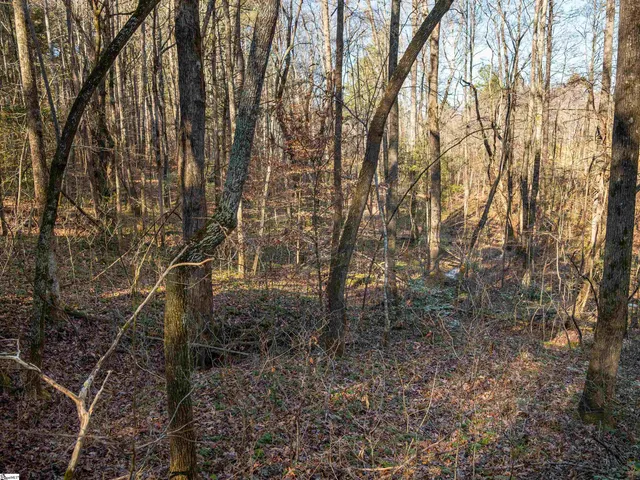 $214,999 | 3 Mill Pine Road, Liberty, SC 29657