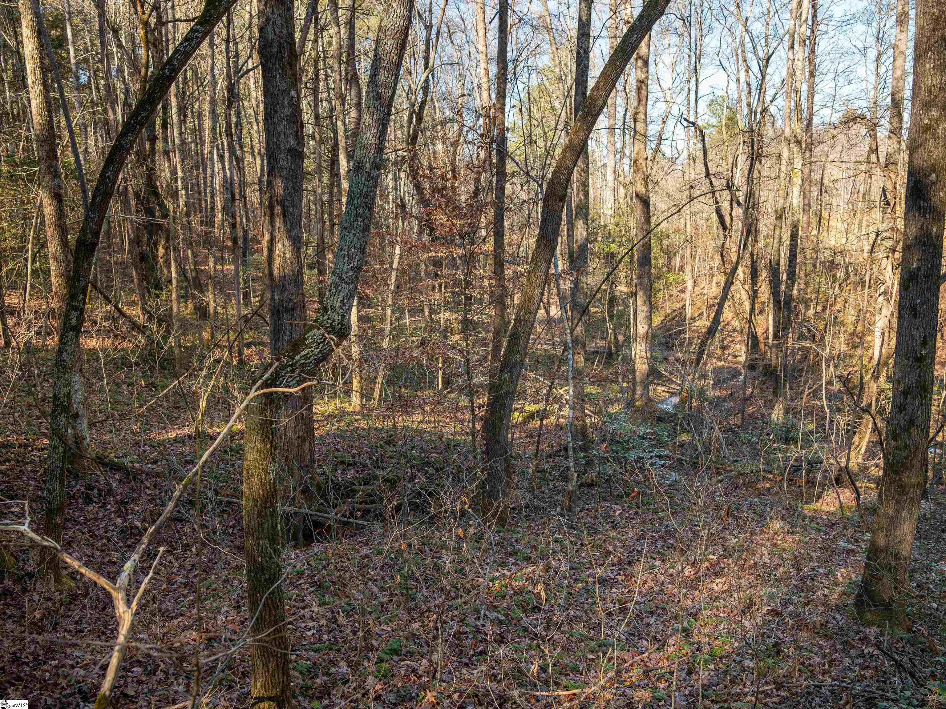 3 Mill Pine Road Liberty, SC 29657 - Photo 17 of 19