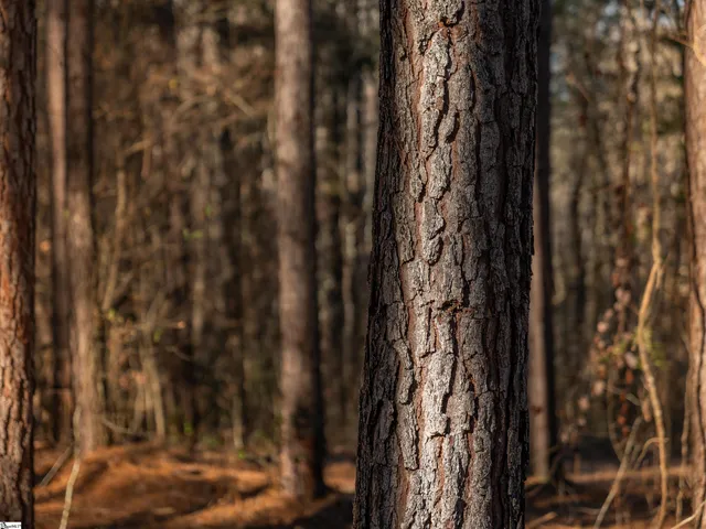 $214,999 | 3 Mill Pine Road, Liberty, SC 29657