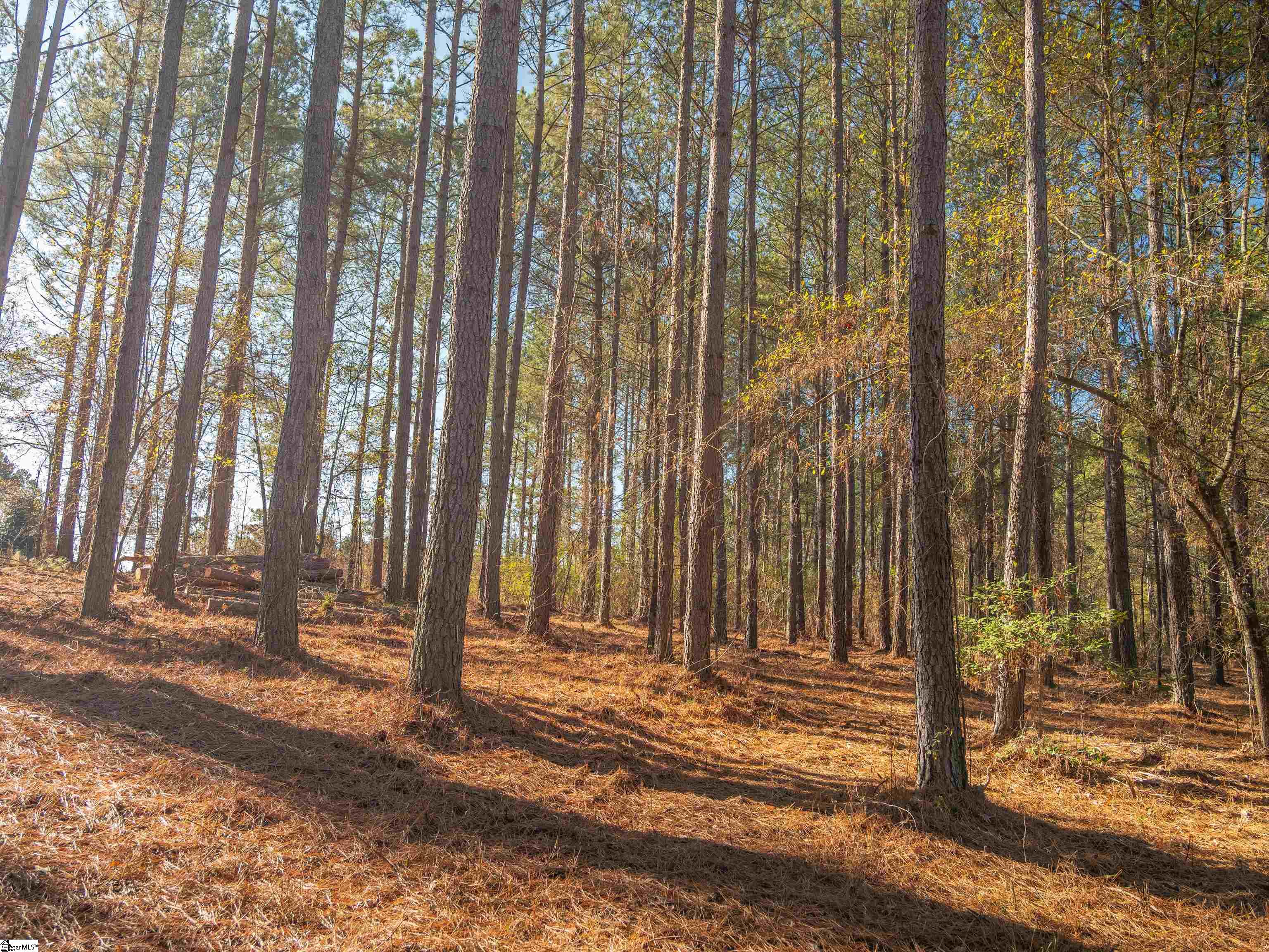 3 Mill Pine Road Liberty, SC 29657 - Photo 2 of 19
