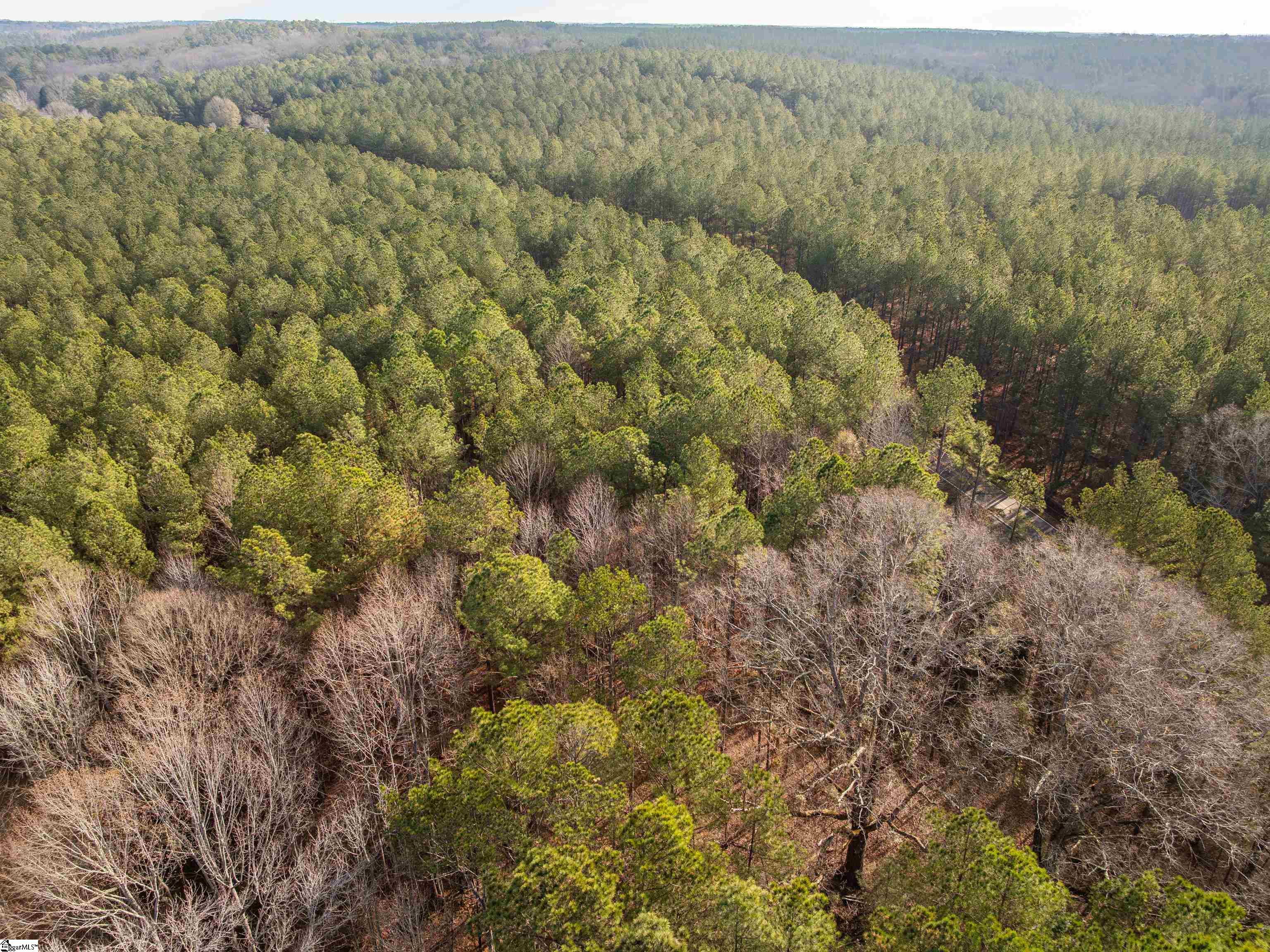3 Mill Pine Road Liberty, SC 29657 - Photo 10 of 19