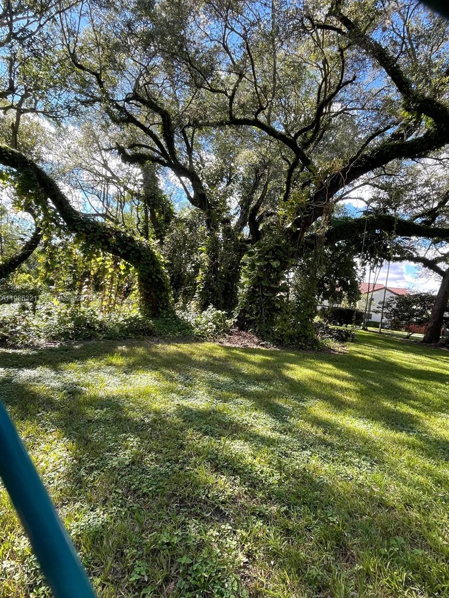 511 Ives Dairy Road, Unit 3016 Miami, FL 33179 - Photo 50 of 72