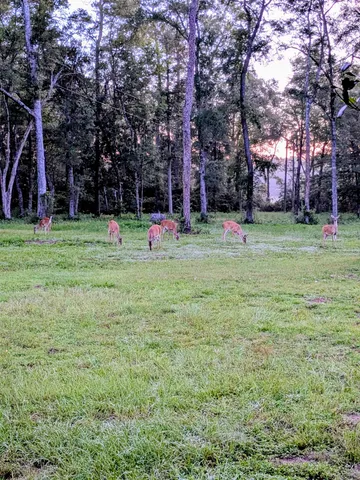 $550,000 | 115 Isle Of Paradise Road, Crawfordville, FL 32327