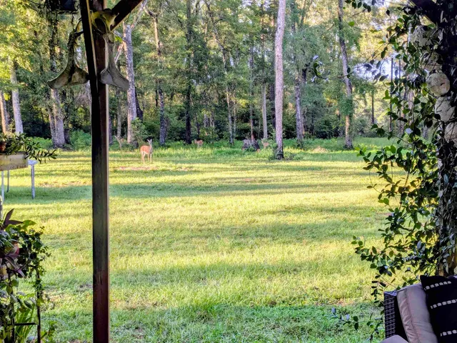 $550,000 | 115 Isle Of Paradise Road, Crawfordville, FL 32327