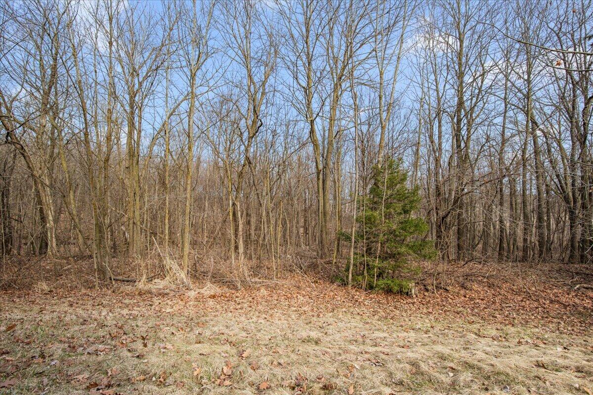 N5968 County Road P Herman, WI 53050 - Photo 58 of 66 Wooded Views