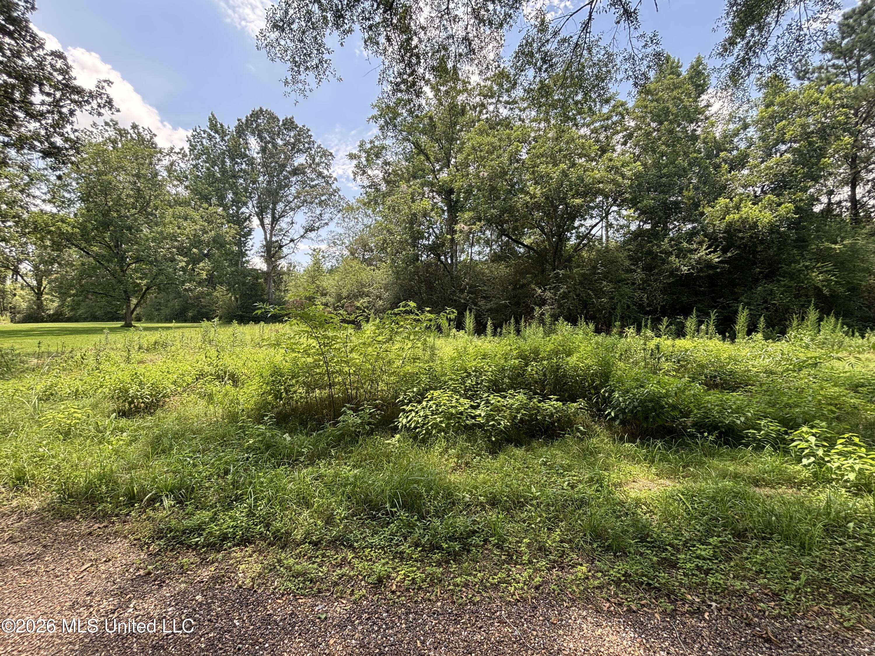 131 B County Road Morton, MS 39117 - Photo 18 of 25 IMG_4842
