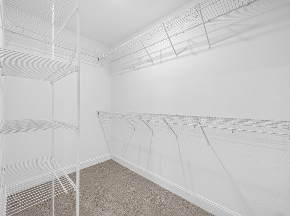 25 Echo Ridge Oak Grove, KY 42262 - Photo 15 of 43