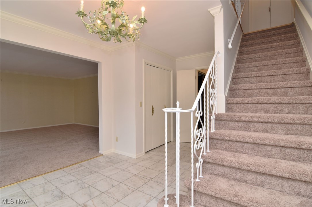 24806 Duffield Road Beachwood, OH 44122 - Photo 4 of 35 Gallery Image 4