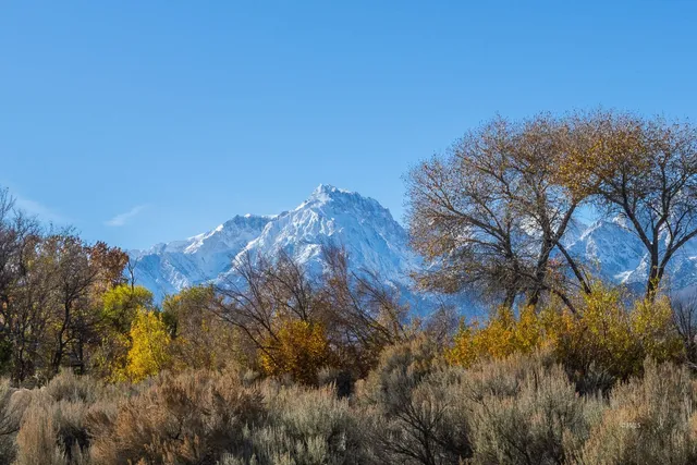 a kitchen with stainless steel appliances a refrigerator sink and cabinets