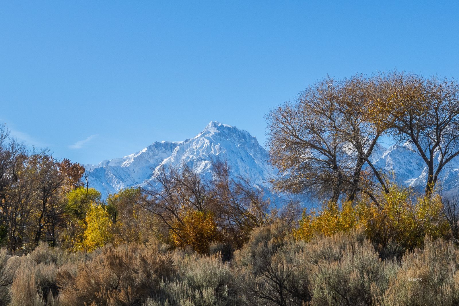 317 West Main Street Independence, CA 93526 - Photo 18 of 33