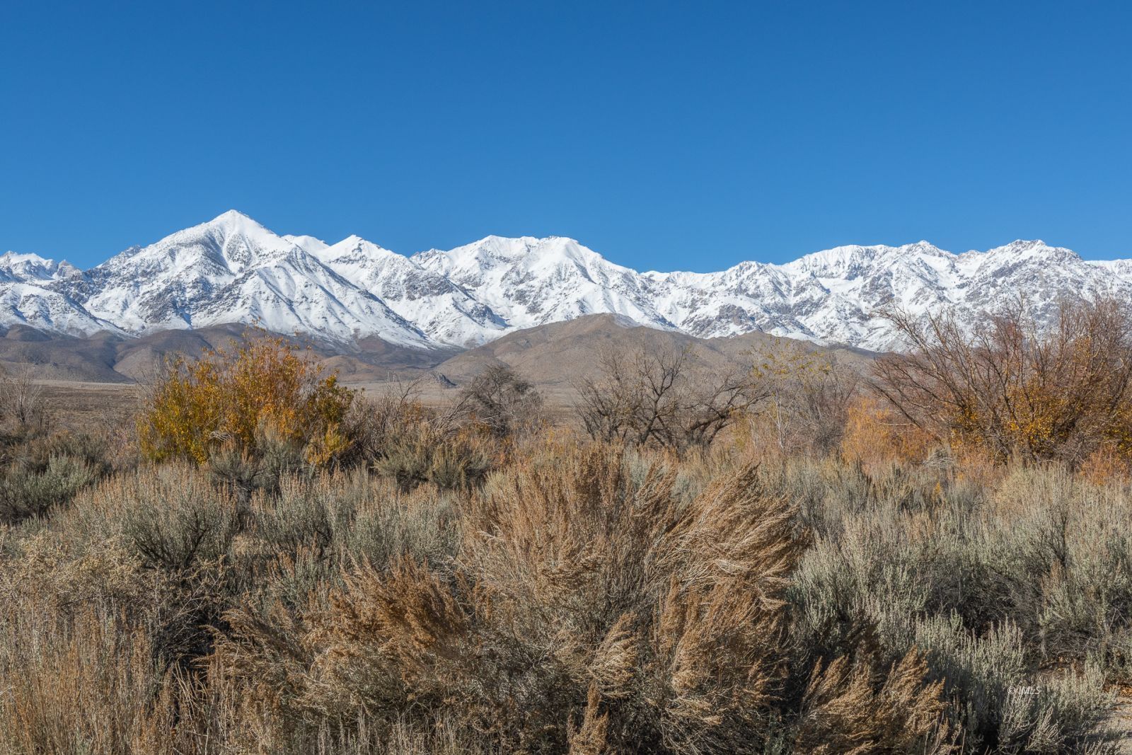 317 West Main Street Independence, CA 93526 - Photo 21 of 33 a view of a snow on the top of a mountain