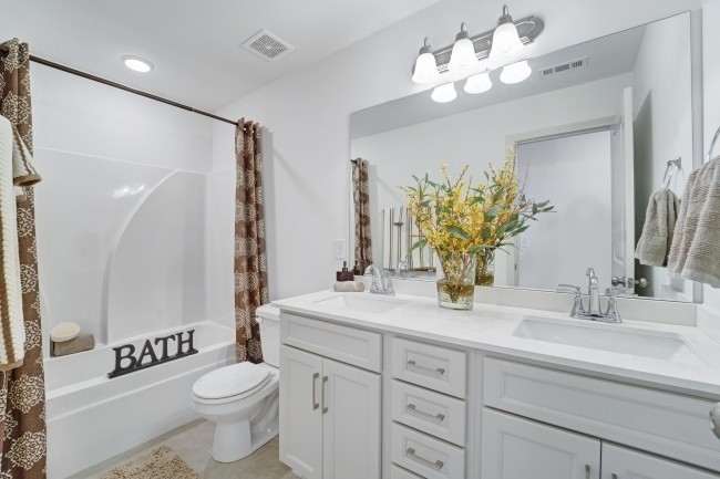 1121 Batbriar Road Murfreesboro, TN 37128 - Photo 14 of 21 a bathroom with a toilet a sink and a mirror