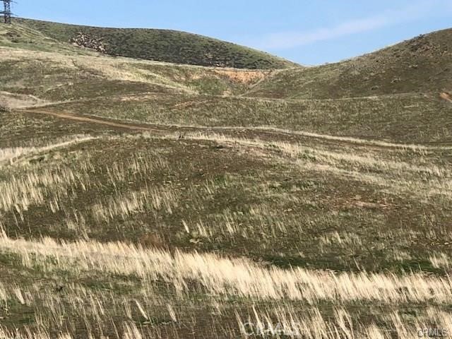 0 Elizabeth Lake Road Lake Hughes, CA 93532 - Photo 20 of 33 a view of an ocean