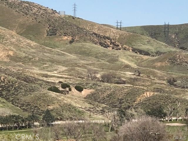 0 Elizabeth Lake Road Lake Hughes, CA 93532 - Photo 24 of 33 a view of a dry yard with trees