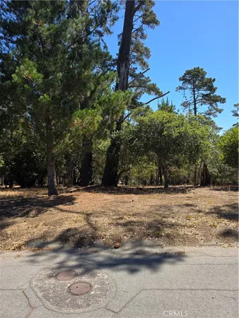 a view of empty space with green space