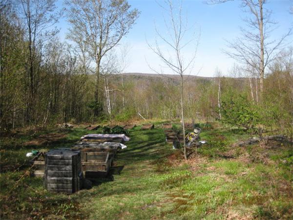 715 George Carter Road Becket, MA 01223 - Photo 4 of 22 a backyard of a house with table and chairs