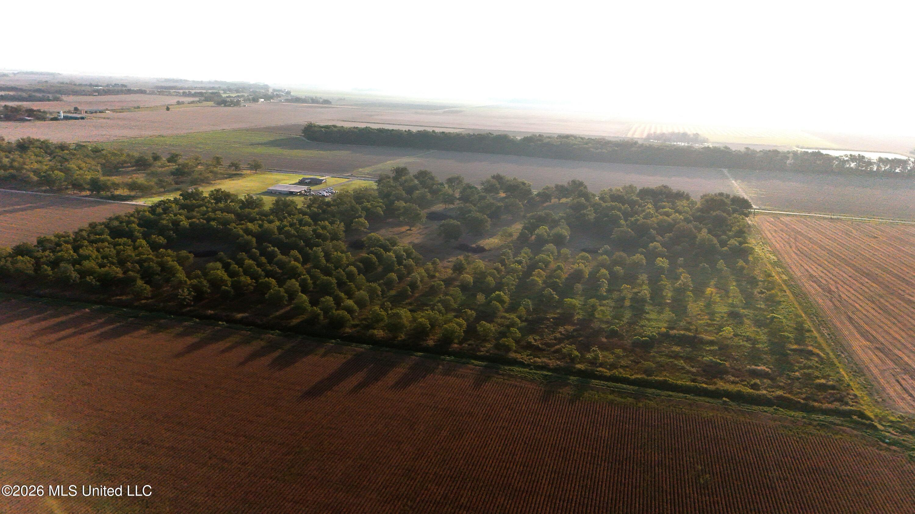 Interstate Road Shaw, MS 38773 - Photo 10 of 31 DJI_20260924090201_0619_D