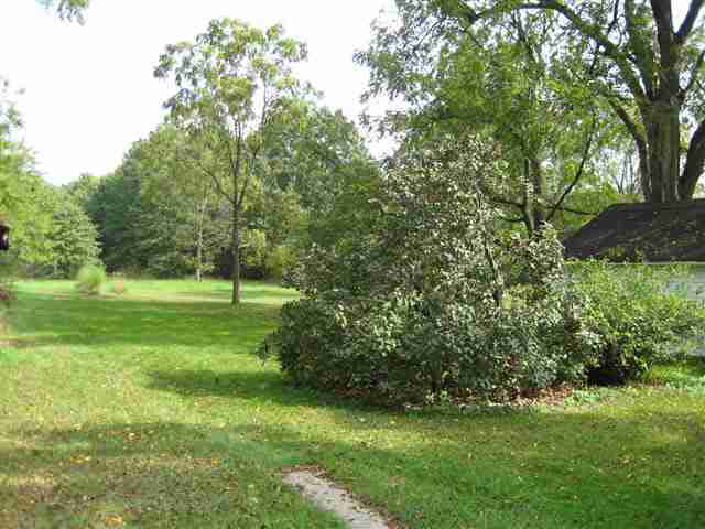 51854 Ash Road Granger, IN 46530 - Photo 9 of 9 Gallery Image 9