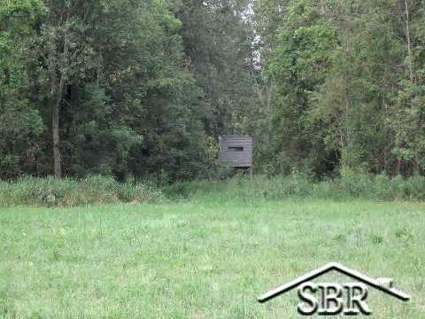 6200 Gratiot Road Saginaw, MI 48638 - Photo 5 of 22 20367839-4.JPG