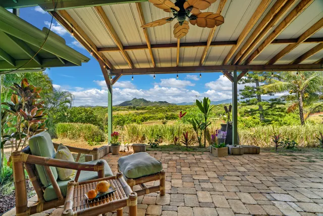 a view of a plant in a garden