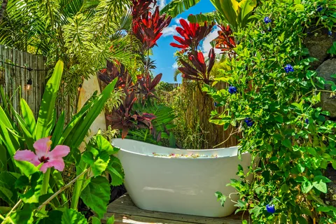 a backyard of a house with potted plants