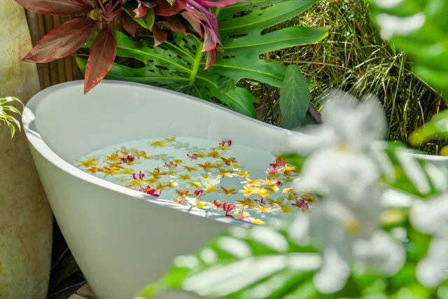 a view of a house with a tree