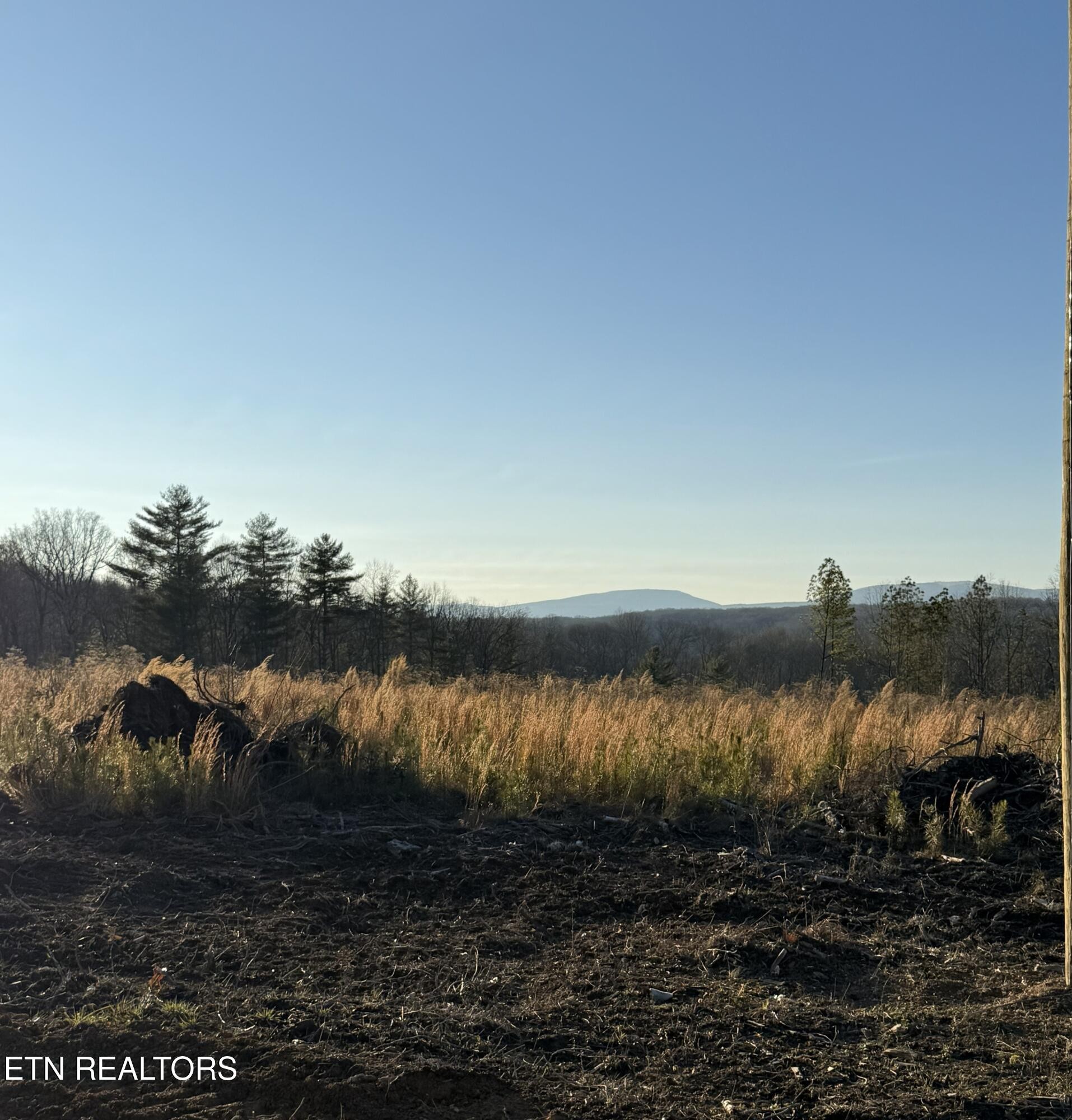 0 Possum Trot Road Grandview, TN 37337 - Photo 2 of 8 a view of a lake in middle of forest
